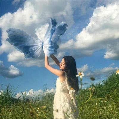 白鹿原2017 海报