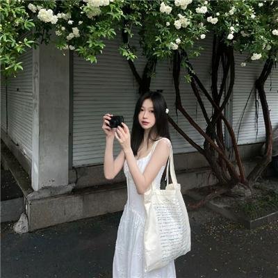 最后的里尔 海报